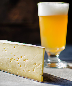 softcheese Soft Cheese