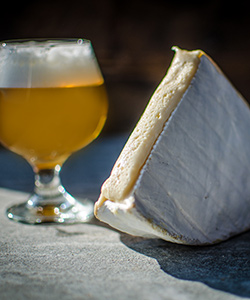 softripened Soft-Ripened Cheese